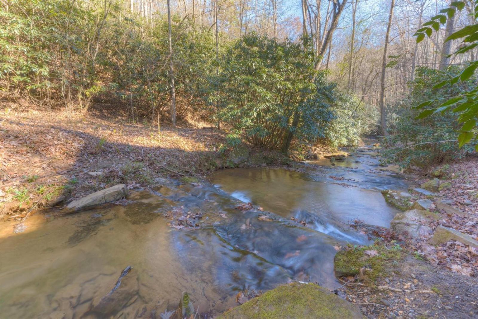 Rushing Waters - Creekside Cabin In North Ga Blue Ridge Exteriör bild
